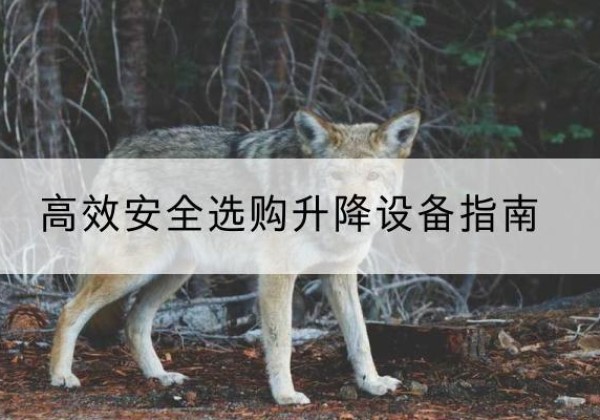 丹江口升降货梯厂家推荐-*安全选购升降设备指南