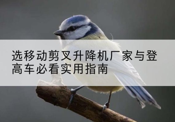丹江口电动升降机厂家-选移动剪叉升降机厂家与登高车必看实用指南