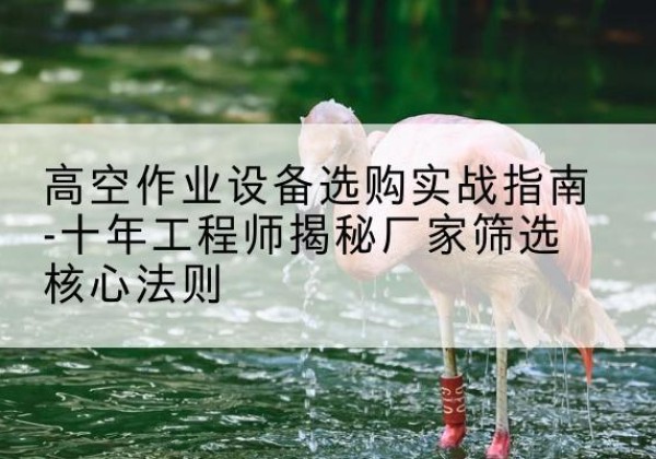 丹江口剪叉式升降机厂家-高空作业设备选购实战指南-十年工程师揭秘厂家筛选核心法则